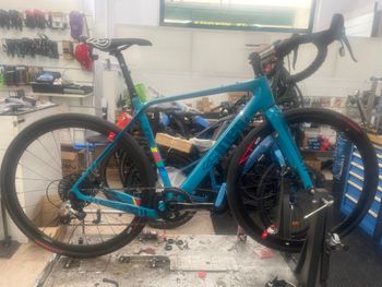 Cinelli, KING ZYDECO - RIVAL 1X 2023