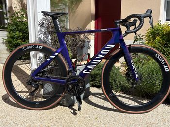 Canyon, Aeroad CFR Cosmos 2024