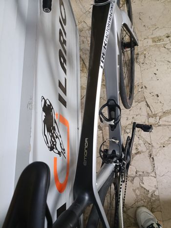 Used Trek Émonda SL 5 2024 2024 Road & Gravel, Light Gray — image 6 of 7