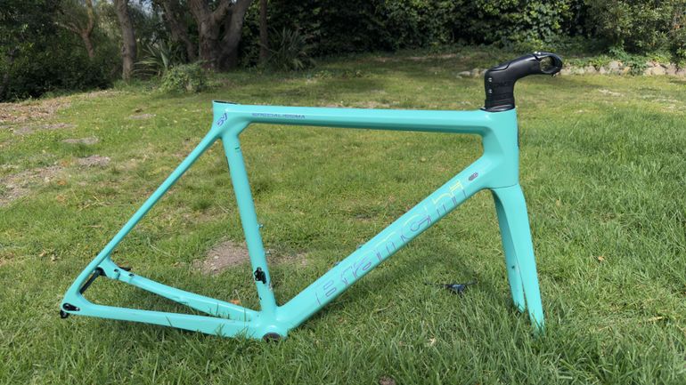 Used Bianchi Specialissima Frameset 2023 Road & Gravel, Green — image 6 of 11