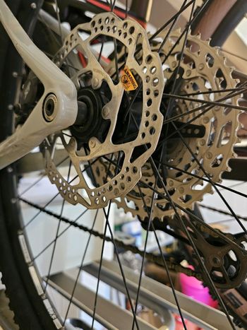 Used CUBE Cube Reaction C:62 PRO 2022 Mountainbike, Light Gray — image 15 of 17