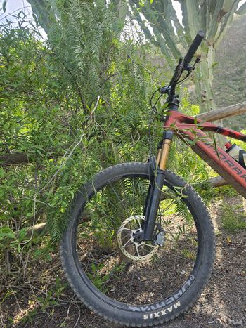 Brugt Mondraker CRAFTY CARBON RR 2025 2025 Mountainbike — billede 9 af 15