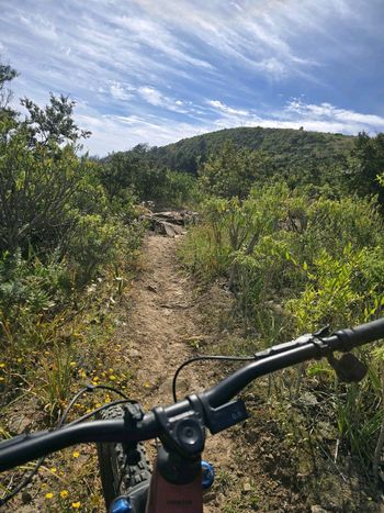 Brugt Mondraker CRAFTY CARBON RR 2025 2025 Mountainbike — billede 15 af 15