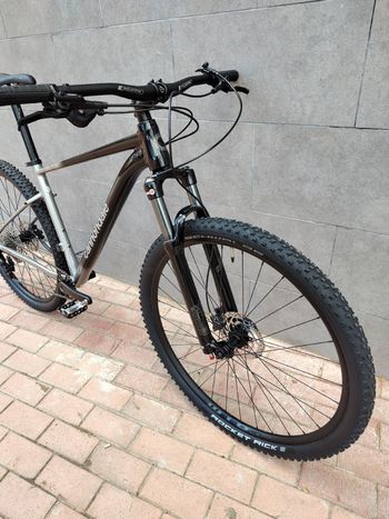 Used Cannondale Trail SE 4 2025 2025 Mountainbike, Light Gray, 29 — image 8 of 12