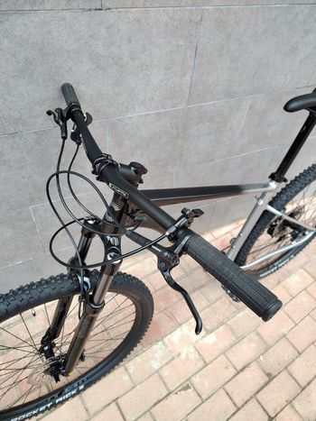 Used Cannondale Trail SE 4 2025 2025 Mountainbike, Light Gray, 29 — image 11 of 12