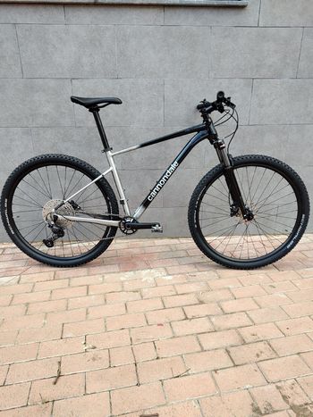 Used Cannondale Trail SE 4 2025 2025 Mountainbike, Light Gray, 29 — image 2 of 12