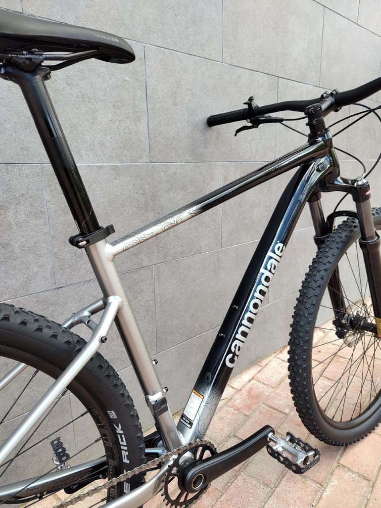 Used Cannondale Trail SE 4 2025 2025 Mountainbike, Light Gray, 29 — image 3 of 12