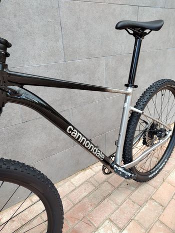 Used Cannondale Trail SE 4 2025 2025 Mountainbike, Light Gray, 29 — image 5 of 12