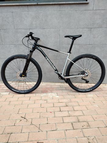 Used Cannondale Trail SE 4 2025 2025 Mountainbike, Light Gray, 29 — image 1 of 12