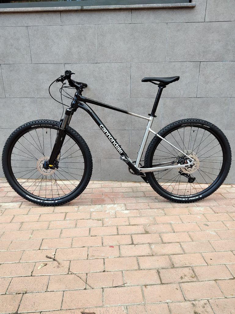 Used Cannondale Trail SE 4 2025 2025 Mountainbike, Light Gray, 29 — image 1 of 12