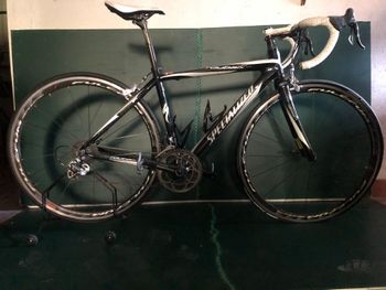 Specialized, Roubaix Campagnolo Record