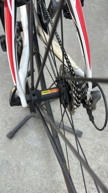 Used Pinarello Dogma 60.1 Di2 Frameset 2011 2011 Road & Gravel, Bianco — image 8 of 11