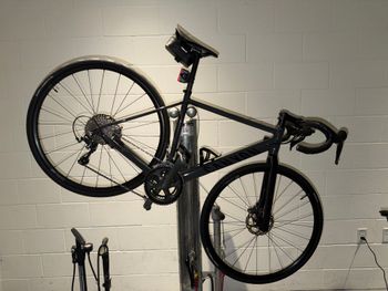 Canyon, Endurace 6 RAW 2024