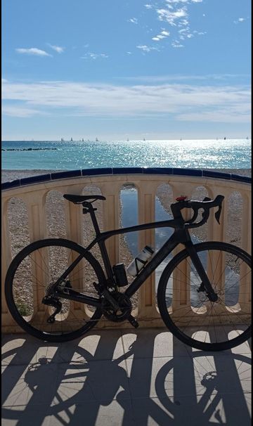 Brugt Trek Domane SL 6 Gen 4 2023 2023 Road & Gravel