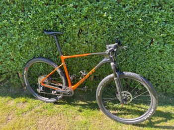 Giant, XTC, Advanced 29 2 2022