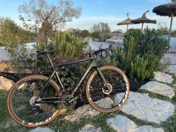 Canyon, Ultimate CF SLX 8 Force AXS 2023