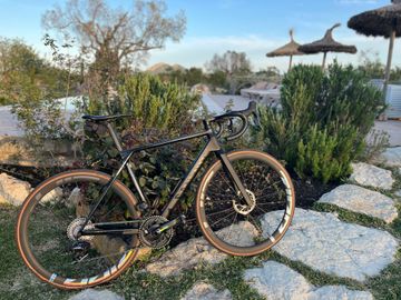 Canyon Ultimate CF SLX 8 Force AXS 2023 2023 Road & Gravel de segunda mano