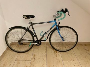 Author Horizon 2005 (custom) 2005 Road & Gravel usato