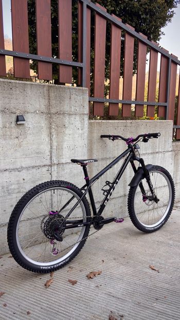 Used rezal Rezal Custom SRAM GX Eagle 2025 Mountainbike — image 3 of 5