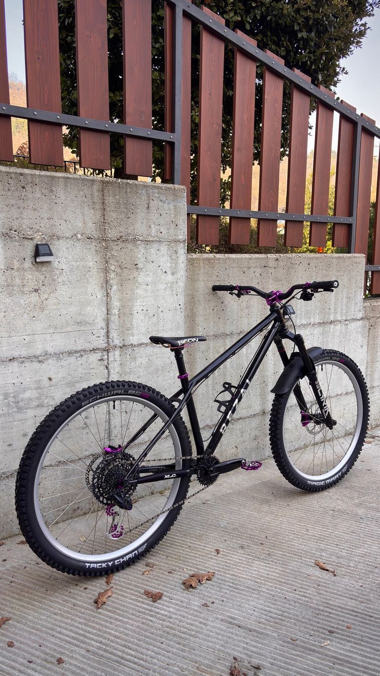Used rezal Rezal Custom SRAM GX Eagle 2025 Mountainbike — image 3 of 5