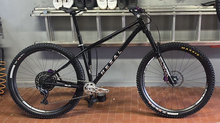 Used rezal Rezal Custom SRAM GX Eagle 2025 Mountainbike — image 5 of 5
