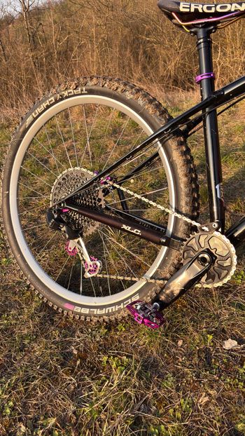 Used rezal Rezal Custom SRAM GX Eagle 2025 Mountainbike — image 4 of 5