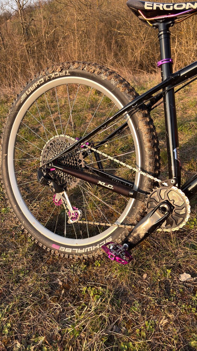 Used rezal Rezal Custom SRAM GX Eagle 2025 Mountainbike — image 4 of 5