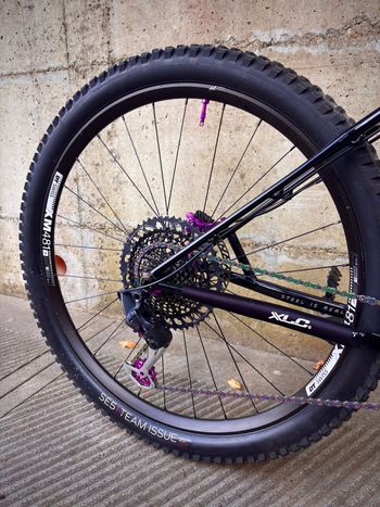 Used rezal Rezal Custom SRAM GX Eagle 2025 Mountainbike — image 3 of 6