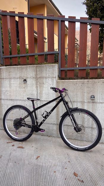 Used rezal Rezal Custom SRAM GX Eagle 2025 Mountainbike — image 2 of 5