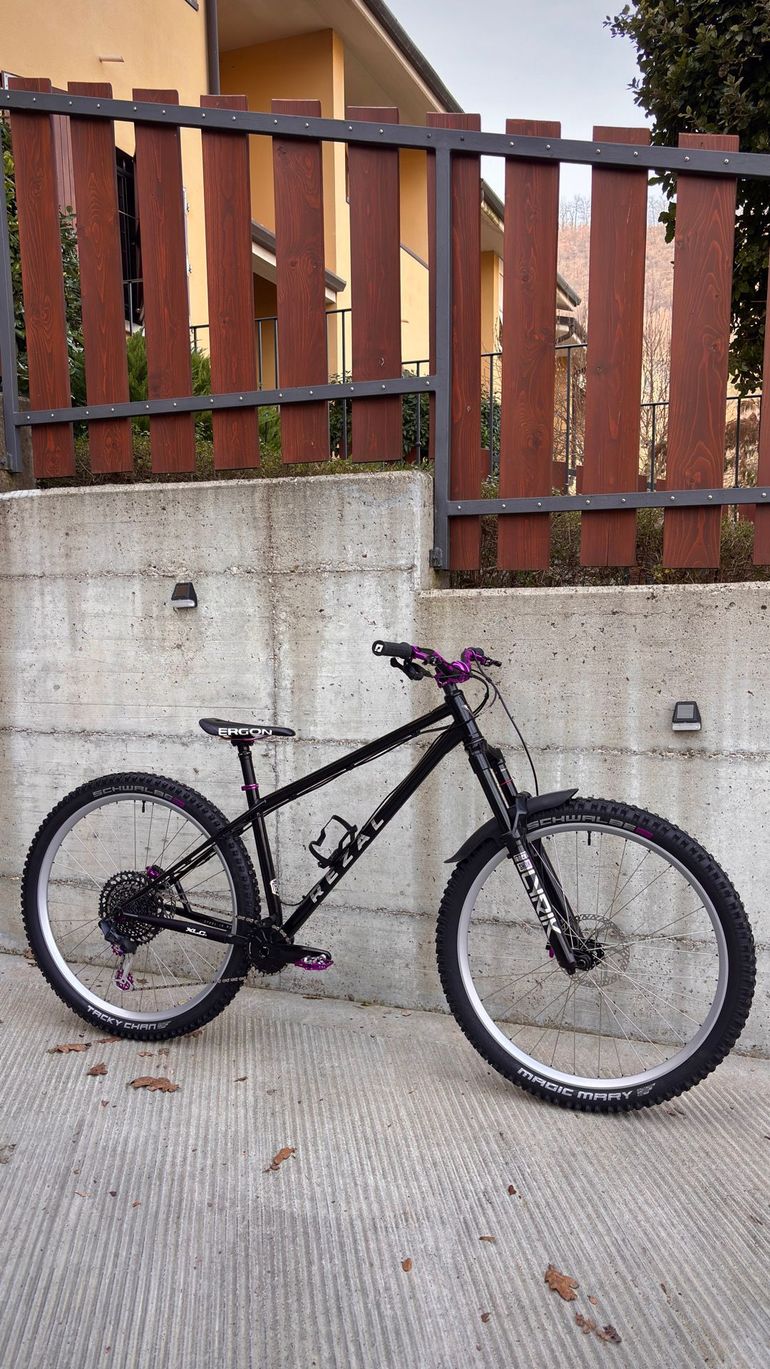 Used rezal Rezal Custom SRAM GX Eagle 2025 Mountainbike — image 2 of 5