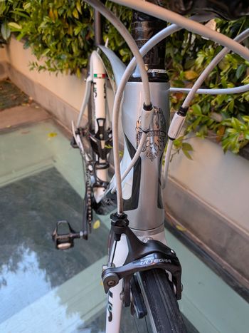 Used Bianchi Oltre Superleggera Ultegra 10v 2012 Road & Gravel, White — image 3 of 9