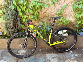 Trek, Procaliber 9.6 2022