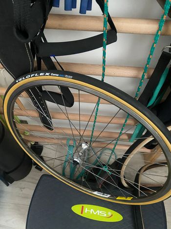 Used Colnago Master Other Campagnolo 1986 Road & Gravel, Red — image 27 of 27