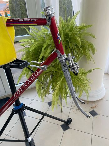 Used Colnago Master Other Campagnolo 1986 Road & Gravel, Red — image 25 of 27