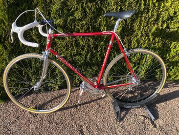 Colnago, Master Other Campagnolo