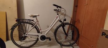 Used ALPINE ALPINE Custom 2012 Urban, Weiß — image 6 of 13