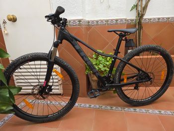 Trek, Trek Marlin 5 Negra
