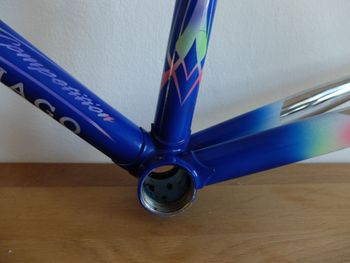Used Colnago Tecnos 2000 Frameset 2000 Road & Gravel — image 21 of 27