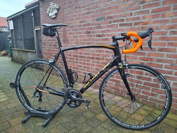 Ridley, Fenix Shimano Ultegra