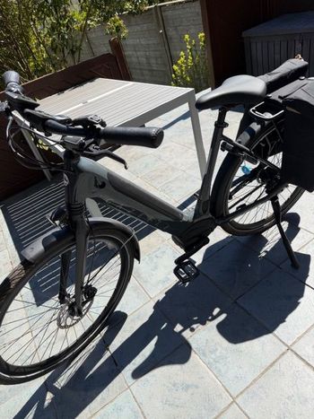 Gazelle, Ultimate C5 HMB Low-Step 2024