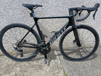 Giant, Propel Advanced 2 2025