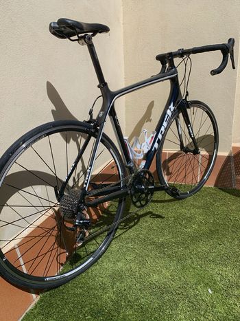 Used Trek Madone 3.1 H2 Compact 2014 2014 Road & Gravel