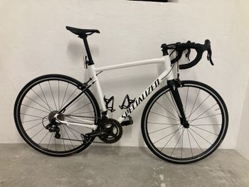 Specialized, Allez Campagnolo Record