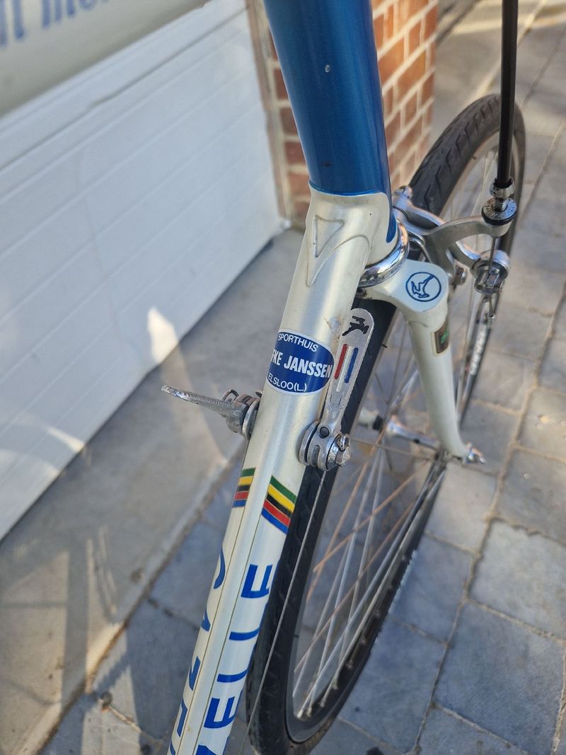 Used Gazelle Custom Campagnolo Super Record 1980 Road & Gravel, White — image 4 of 11