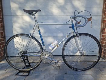Gazelle, Gazelle Custom Campagnolo Super Record