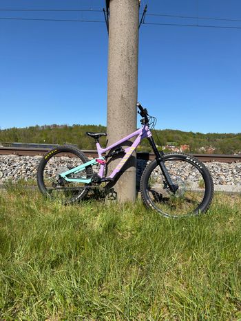 Canyon, Torque 27.5 AL 5 2022