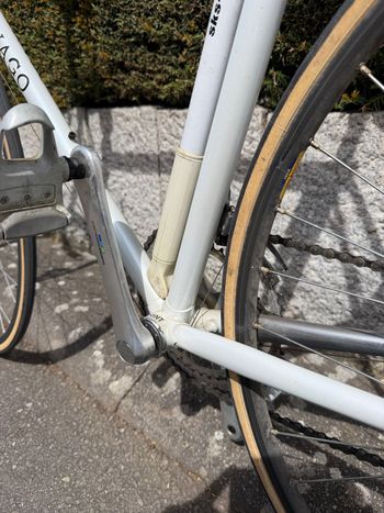 Used Colnago Colnago Custom Shimano Ultegra 1988 Road & Gravel, White — image 4 of 16