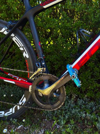 Used Focus Focus Izalco Full Carbon Ultegra 2016 Road & Gravel, Red — image 6 of 13