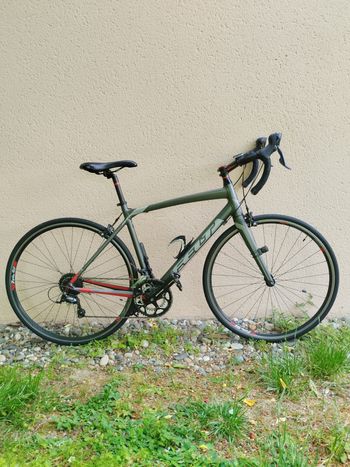 Felt, Z95 2015