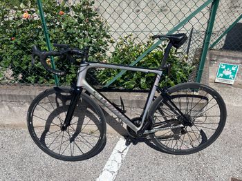 S Works, Tarmac SL6 Limited Edition